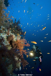 Christine outside Blue Hole, Dahab. Canon EOS 350d, 10-22mm by Tobias Reitmayr 